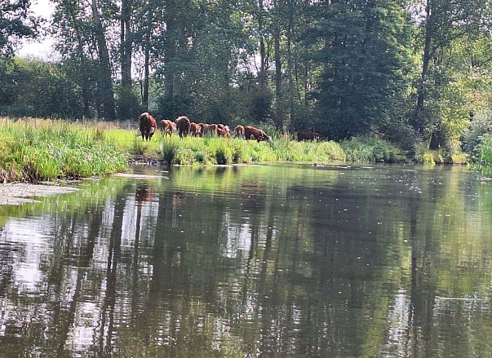 Gemuetliche Essecke im Ferienhaus Borkerijck, Holten, Overijssel, mit Blick auf den gruenen Garten.