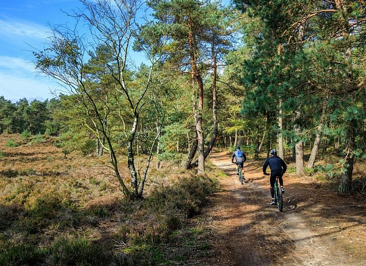 Bungalowpark Het Verscholen Dorp