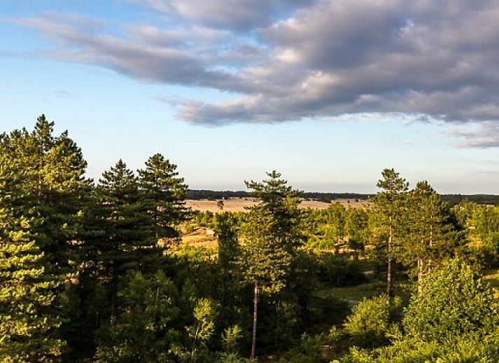 Bungalowpark Het Verscholen Dorp