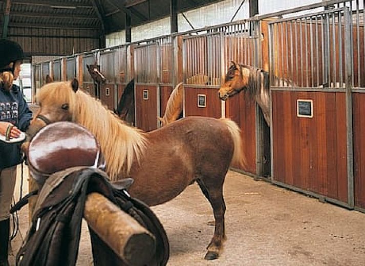 Vakantieoord de Bronzen Emmer