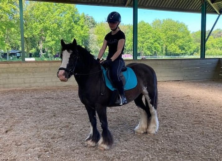 Vakantieoord de Bronzen Emmer
