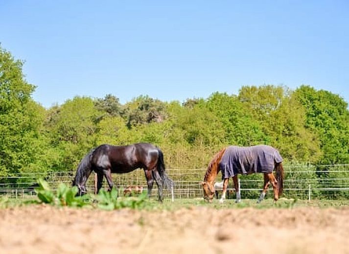 Vakantieoord de Bronzen Emmer