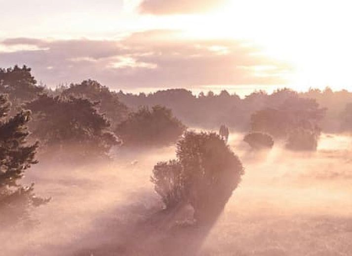 Vakantieoord de Bronzen Emmer