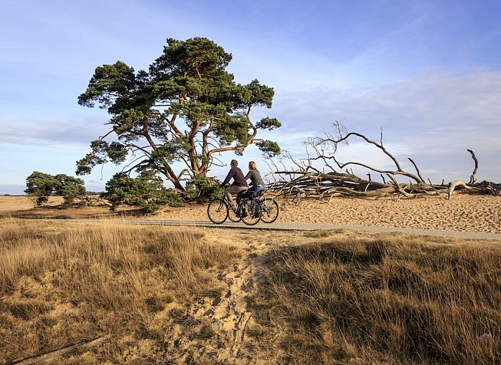 Recreatiepark De Tolplas