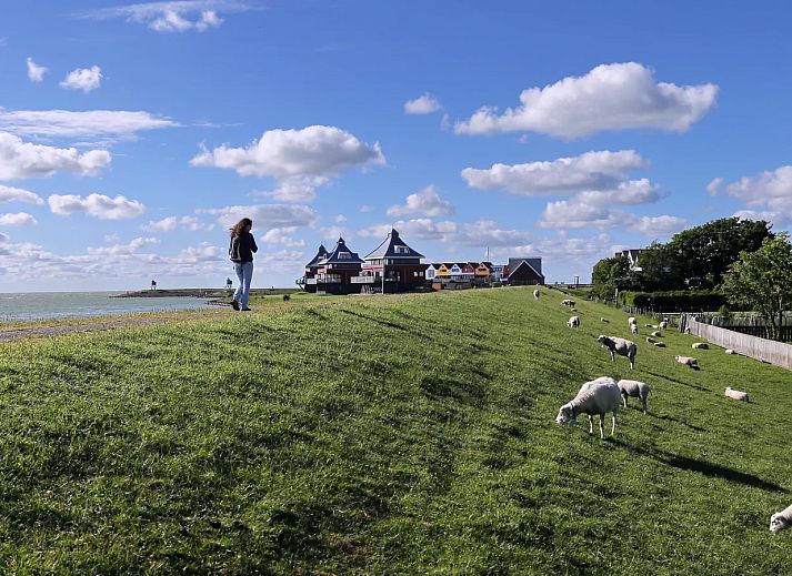 Landal Waterpark Sneekermeer