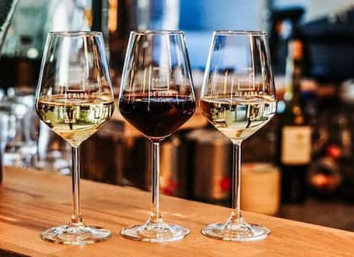 Camping de Vinkenkamp