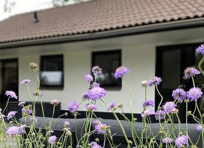 Camping de Vinkenkamp