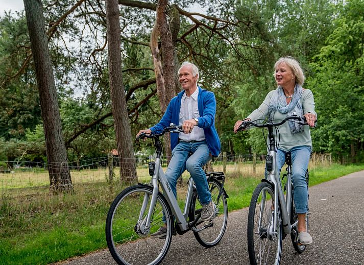 Landal Domein De Schatberg