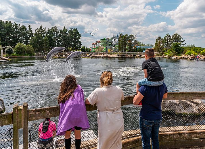 EuroParcs Veluwemeer