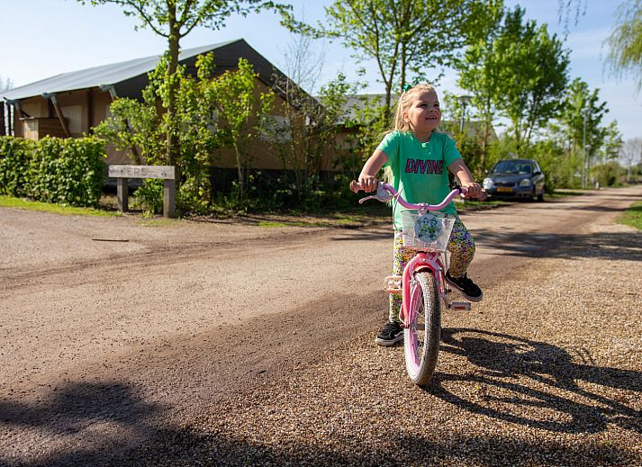 Camping Betuwestrand