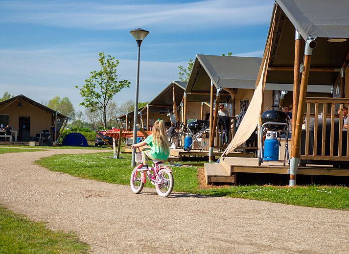 Camping Betuwestrand