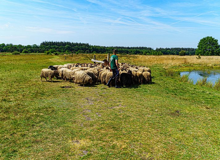 Mini Camping Drentse Monden