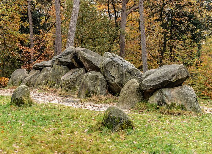 Mini Camping Drentse Monden