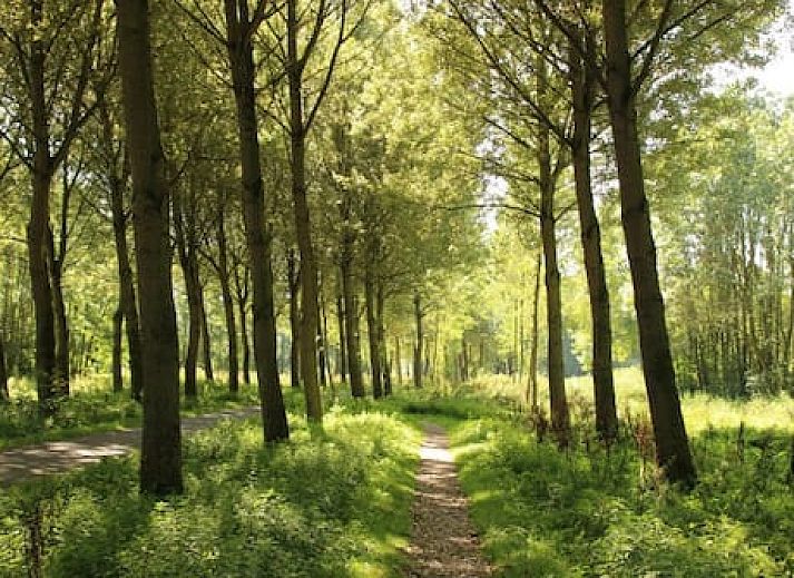 Vakantiepark Delftse Hout