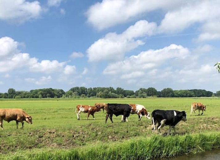 Vakantiepark Delftse Hout