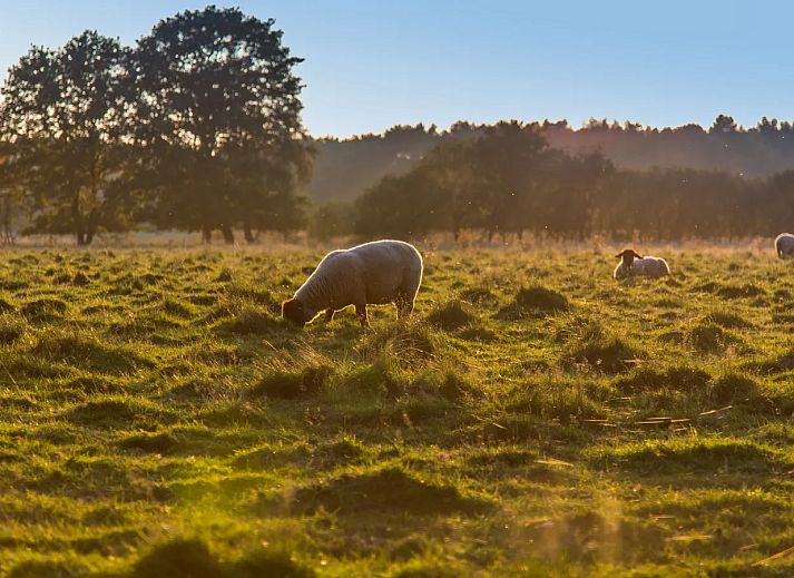 Landal Landgoed Aerwinkel