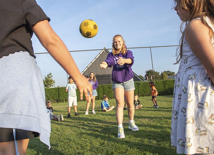 Camping de Molenhoek