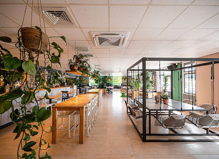 Camping de Molenhoek