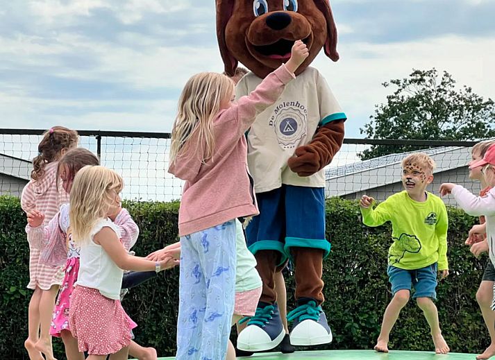 Camping de Molenhoek