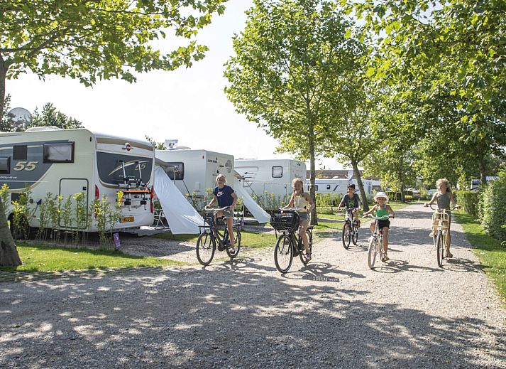 Camping de Molenhoek