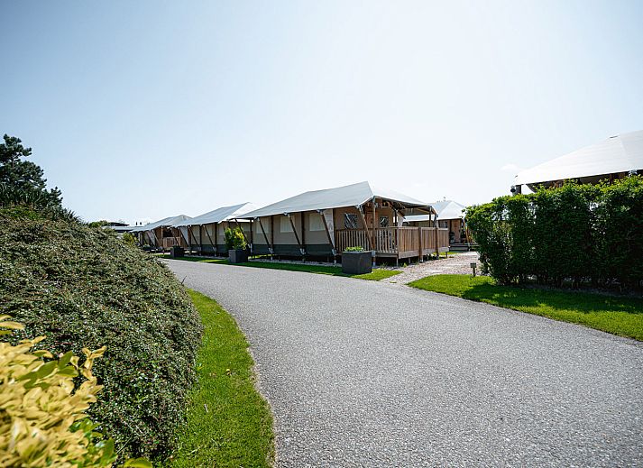 Camping de Molenhoek