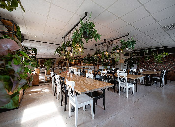 Camping de Molenhoek