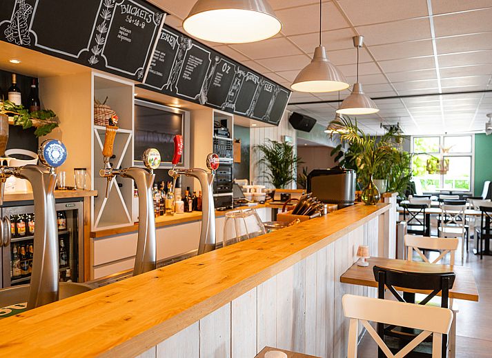 Camping de Molenhoek