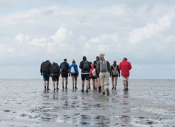 Landal Natuurdorp Suyderoogh