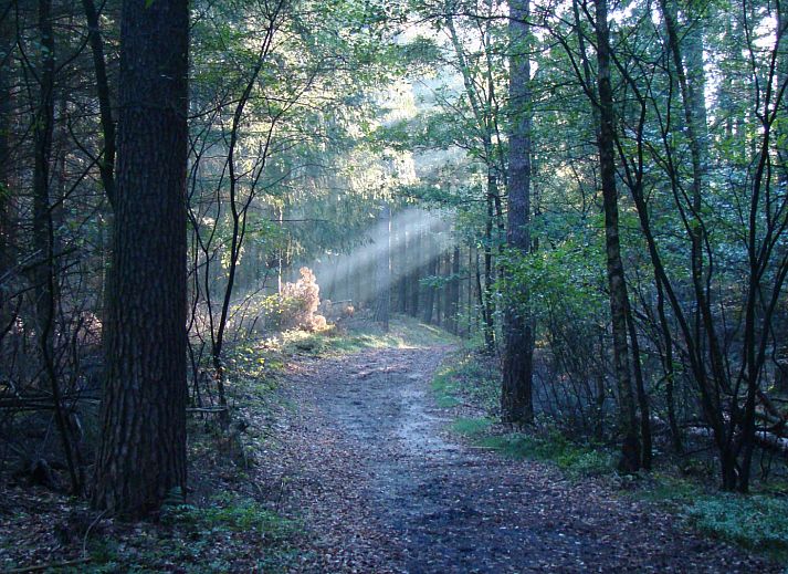Camping de Koeksebelt