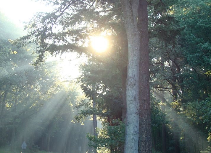 Camping de Koeksebelt