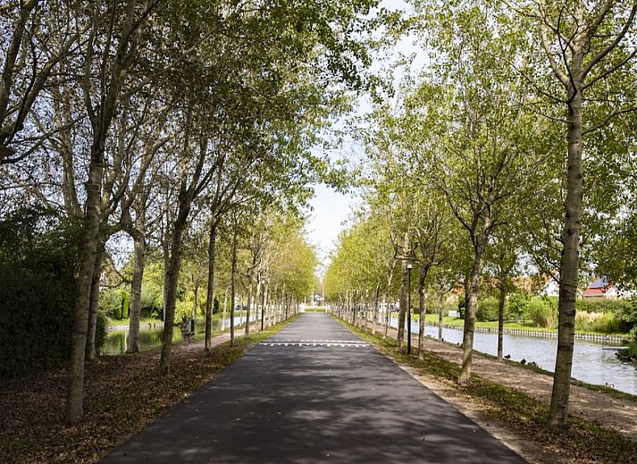 Noordzee R�sidence De Banjaard