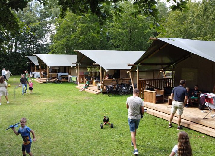 Camping de Beukenhof