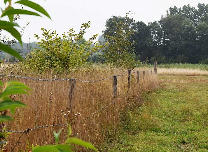 BoerenBed Het Boshuis