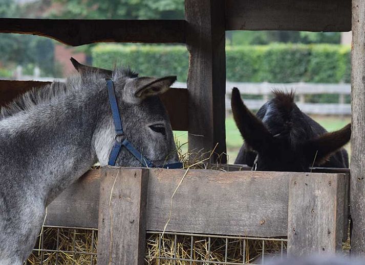 BoerenBed Het Boshuis
