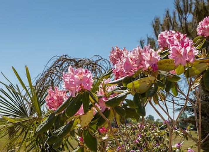 Vakantiepark Fort den Haak