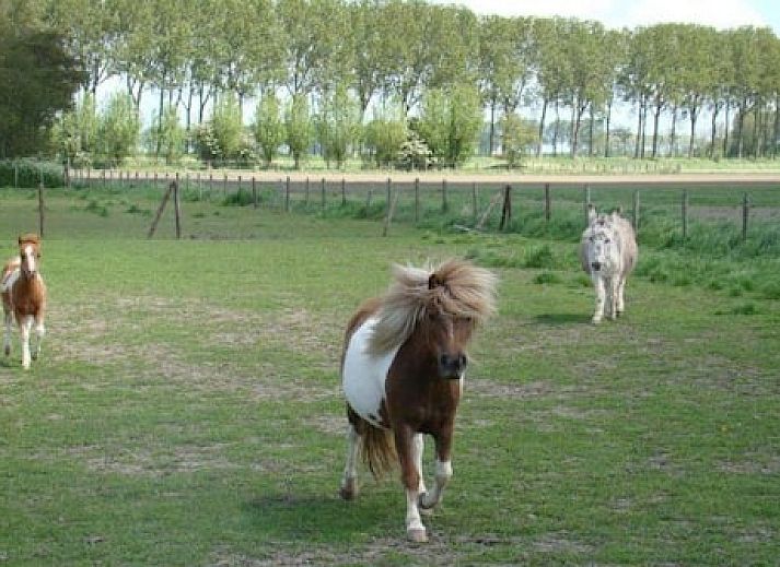 Vakantie-appartementen Crea-Trends