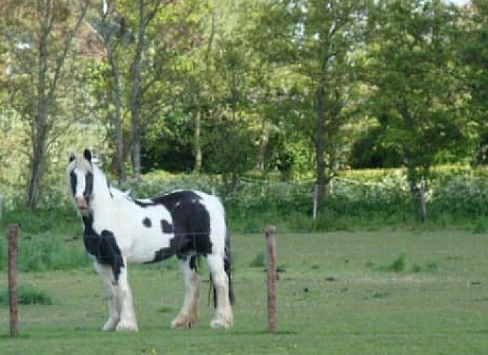 Vakantie-appartementen Crea-Trends