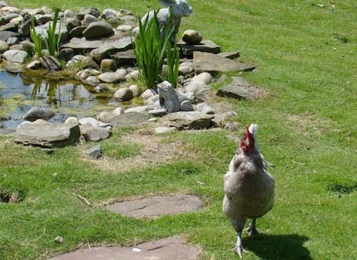 Vakantie-appartementen Crea-Trends