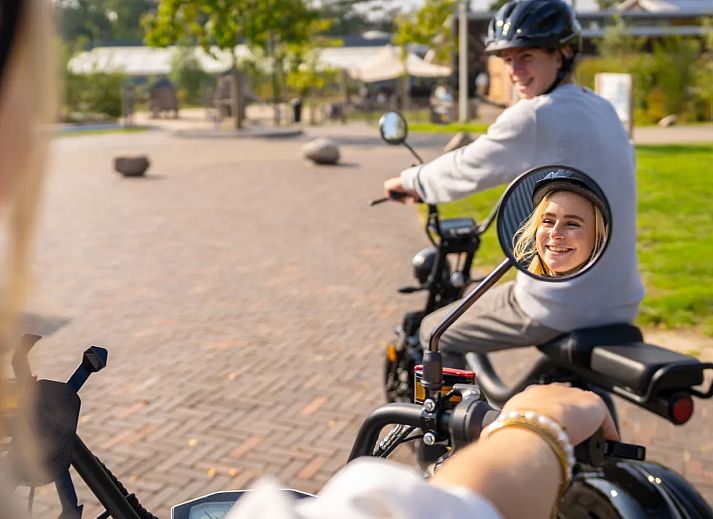 Landal Het Land van Bartje