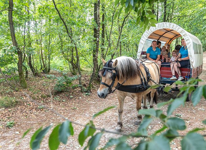 Landal Het Land van Bartje