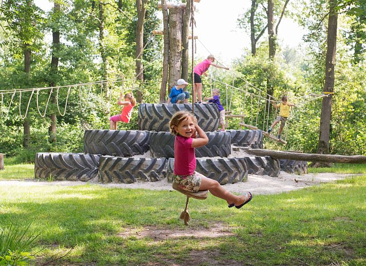 FarmCamps De Geele Bosch