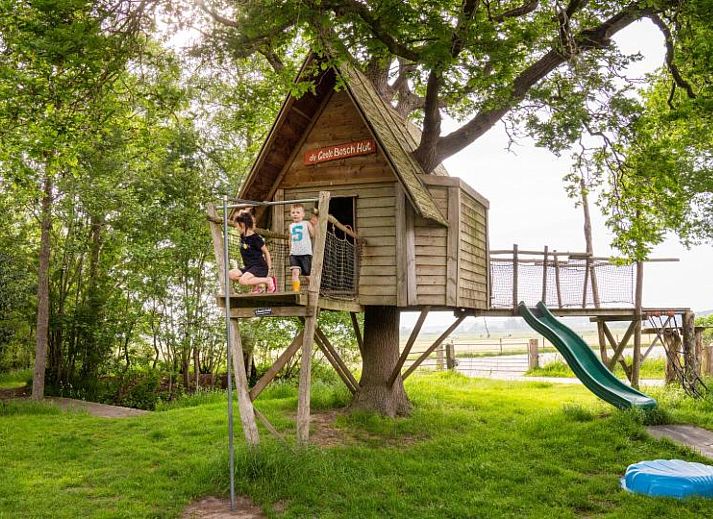 FarmCamps De Geele Bosch