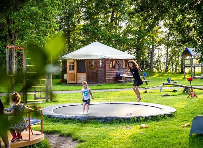 FarmCamps De Geele Bosch