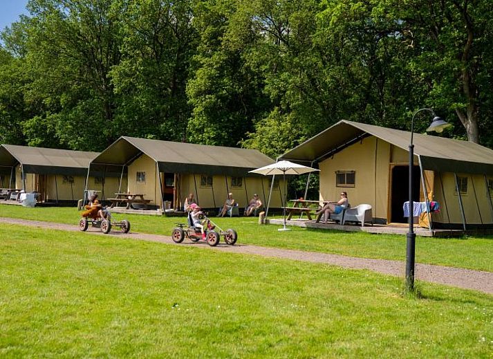 FarmCamps De Geele Bosch