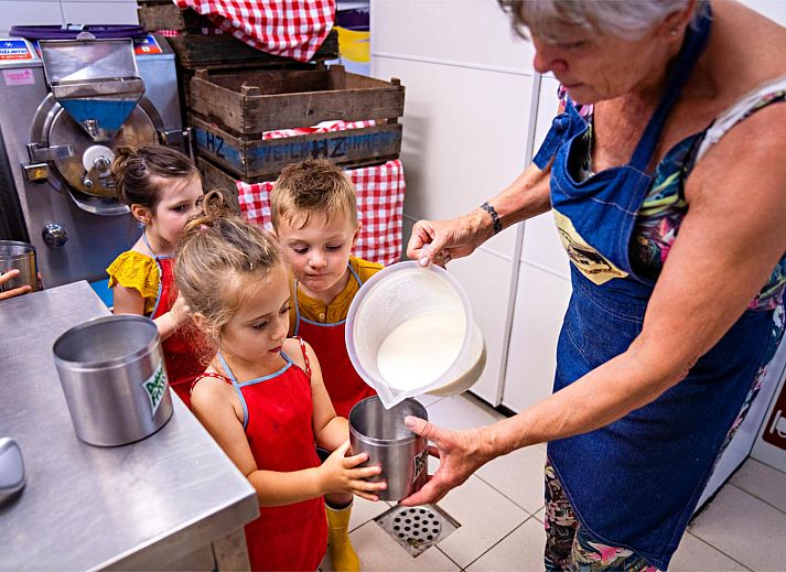 FarmCamps De Geele Bosch