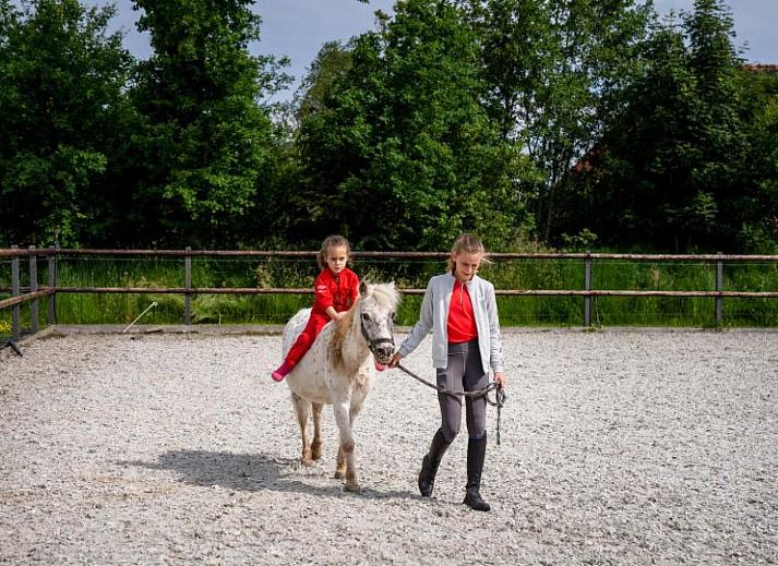 FarmCamps De Geele Bosch