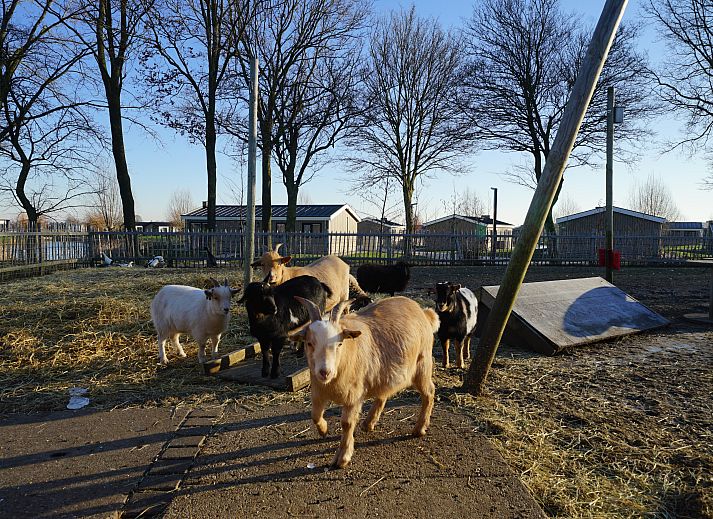 EuroParcs De IJssel Eilanden