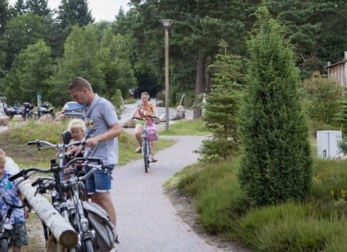 Vakantiepark Sallandshoeve