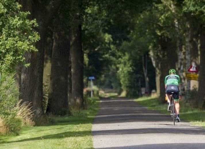 Vakantiepark Sallandshoeve