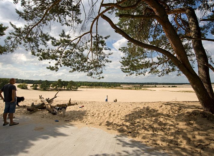 Recreatiepark Duinhoeve